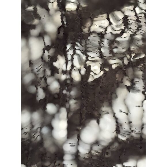 Passion Concepts Women’s Zebra Print Blazer Size Medium Lace Sequin Overlay Glam - Picture 9 of 12